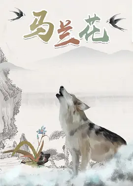 小李财经视角